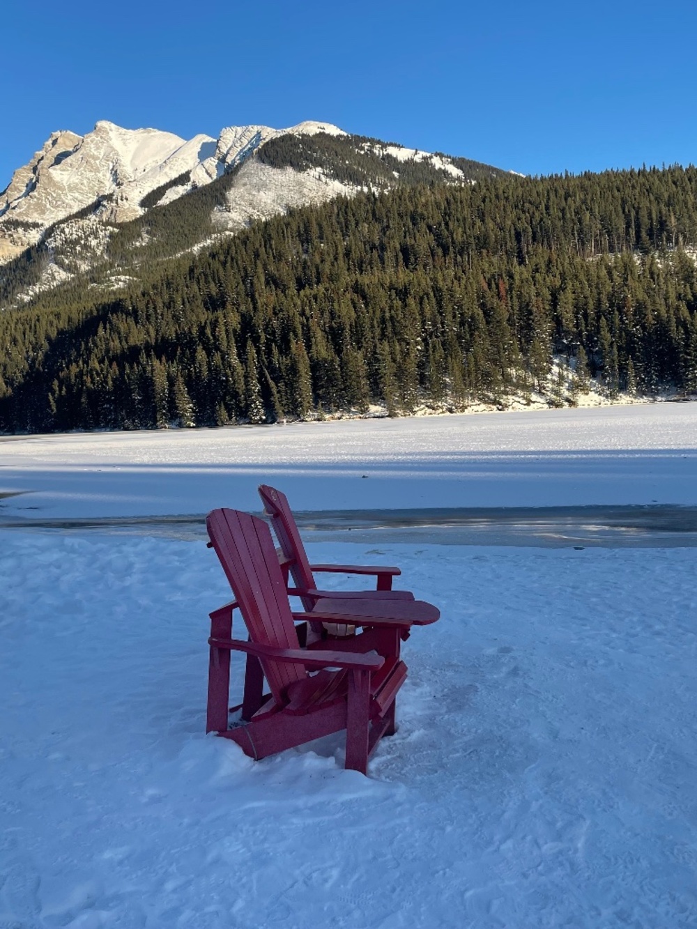 Meet your Posher, Adam